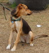 Reba - Photo 3