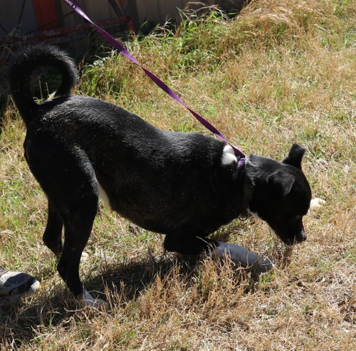 Mack photo 3