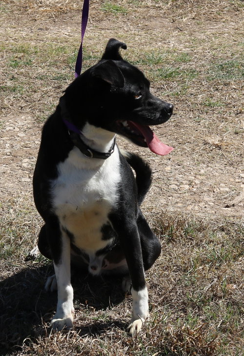 Mack photo 3