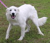 Athena - Photo 2