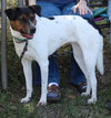 Astrid - Photo 2