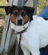 Astrid - Photo 3