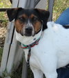 Astrid - Photo 3