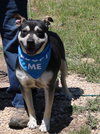 Rocky - Photo 4