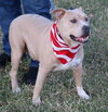 Tucker - Photo 3