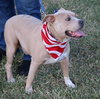 Tucker - Photo 4
