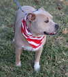 Tucker - Photo 2