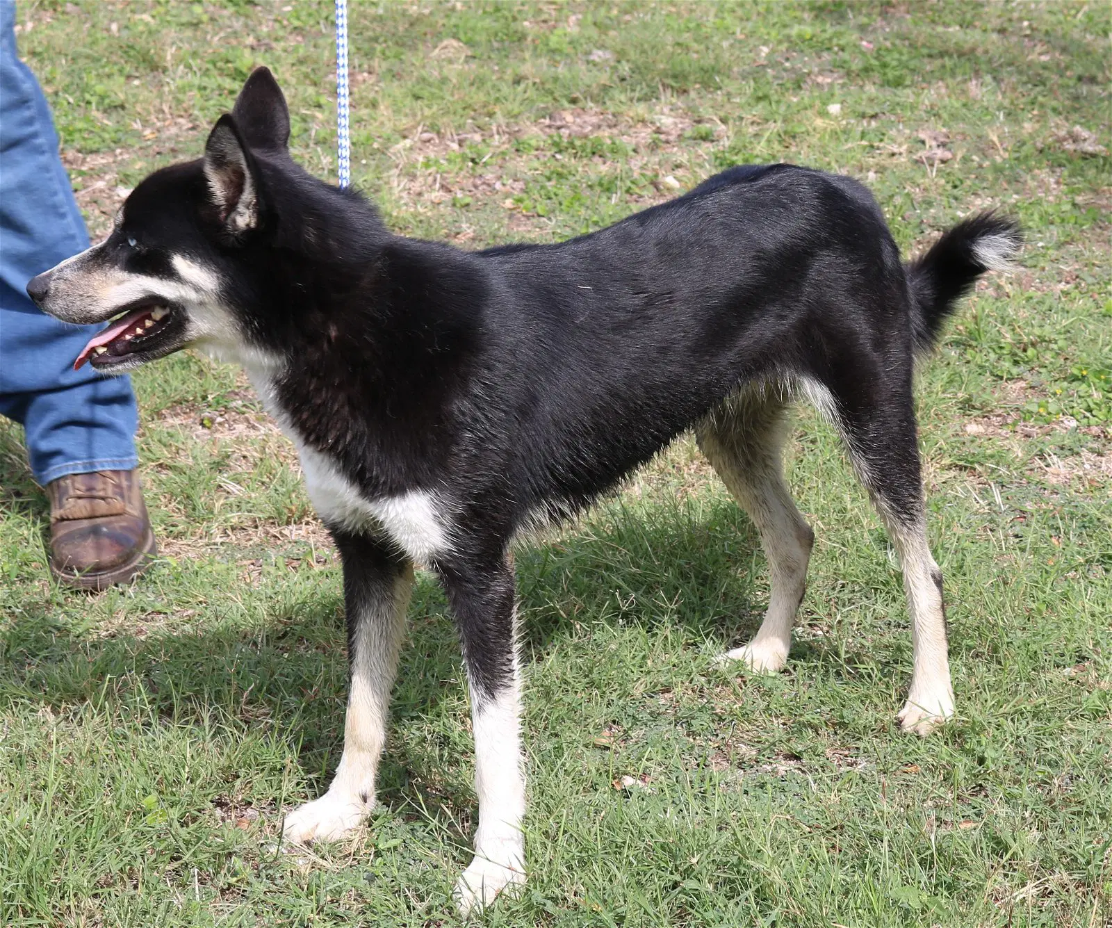 Ryker image 3