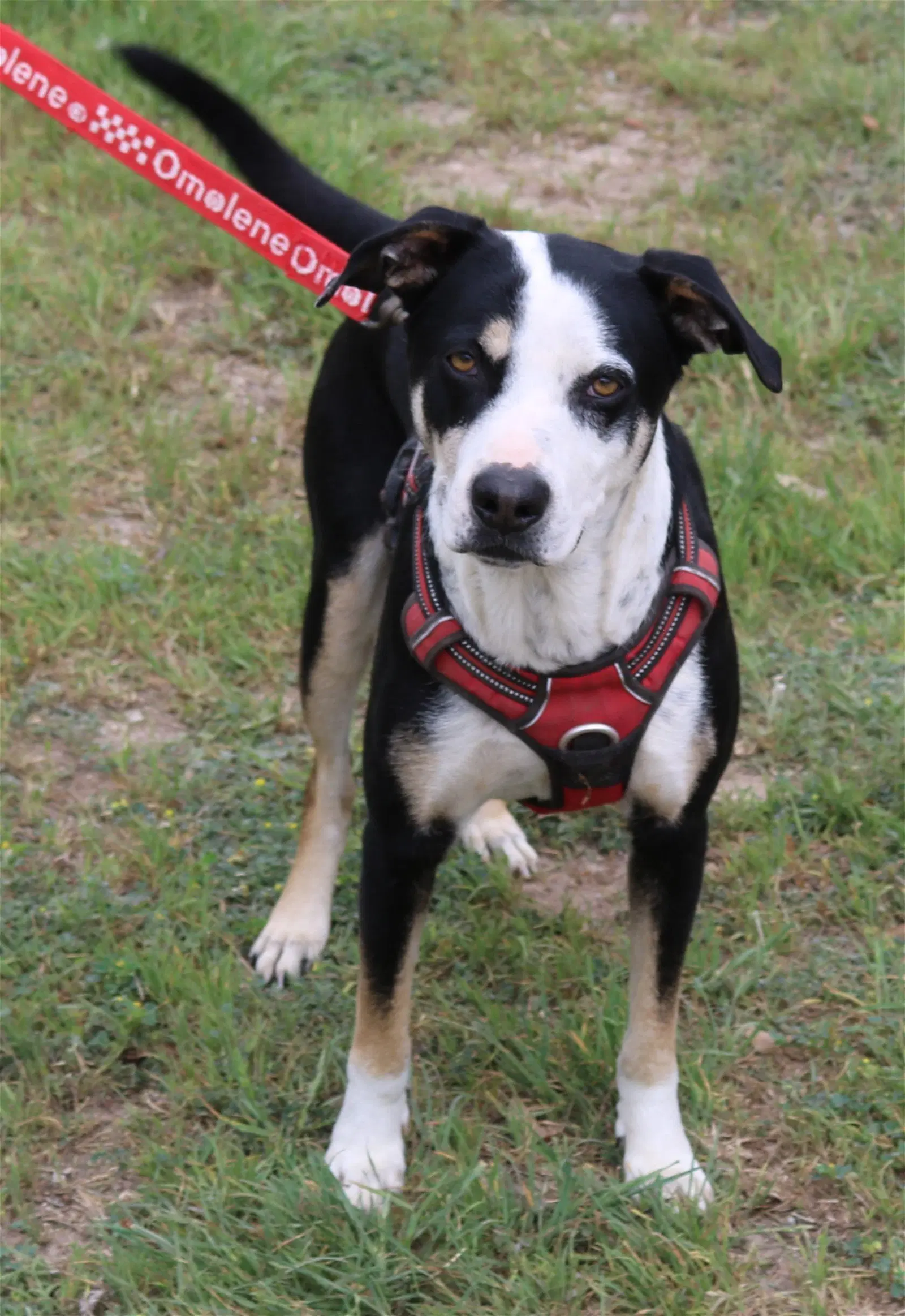 Max image 3