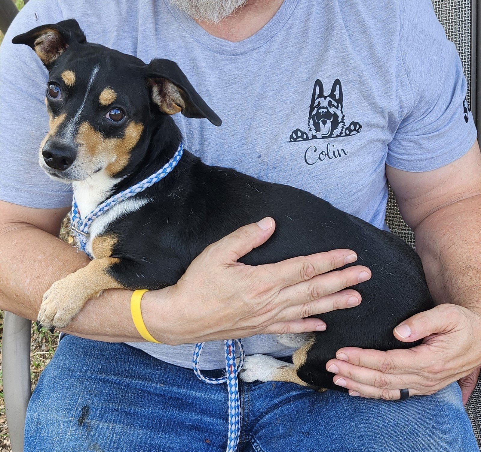 adoptable Dog in Brattleboro, VT named Chopper