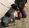Oaks - Photo 2