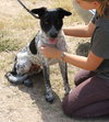Oaks - Photo 1