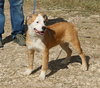 Pocket - Photo 4