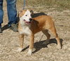 Pocket - Photo 4
