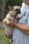 Mutz - Photo 2