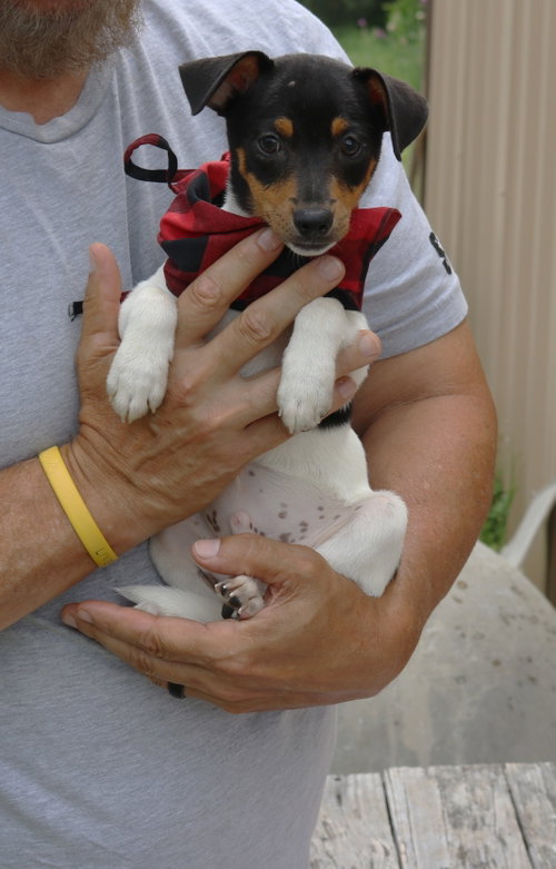 Tucker photo 3
