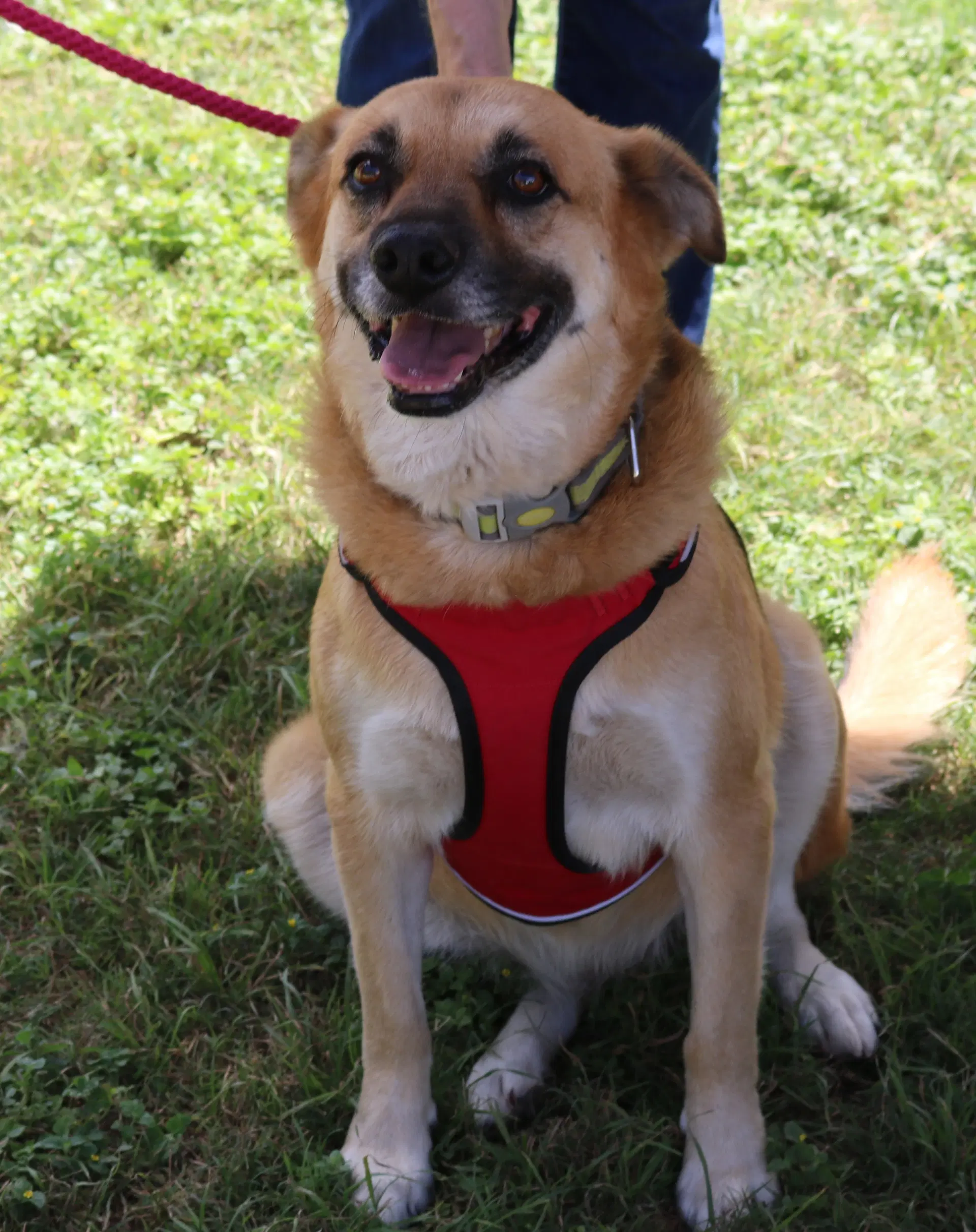 Sadie image 4