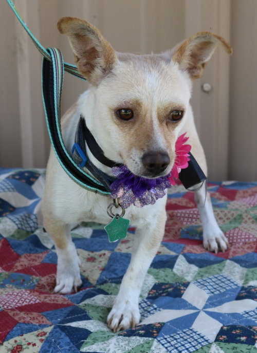 Photo 3 of Layla
