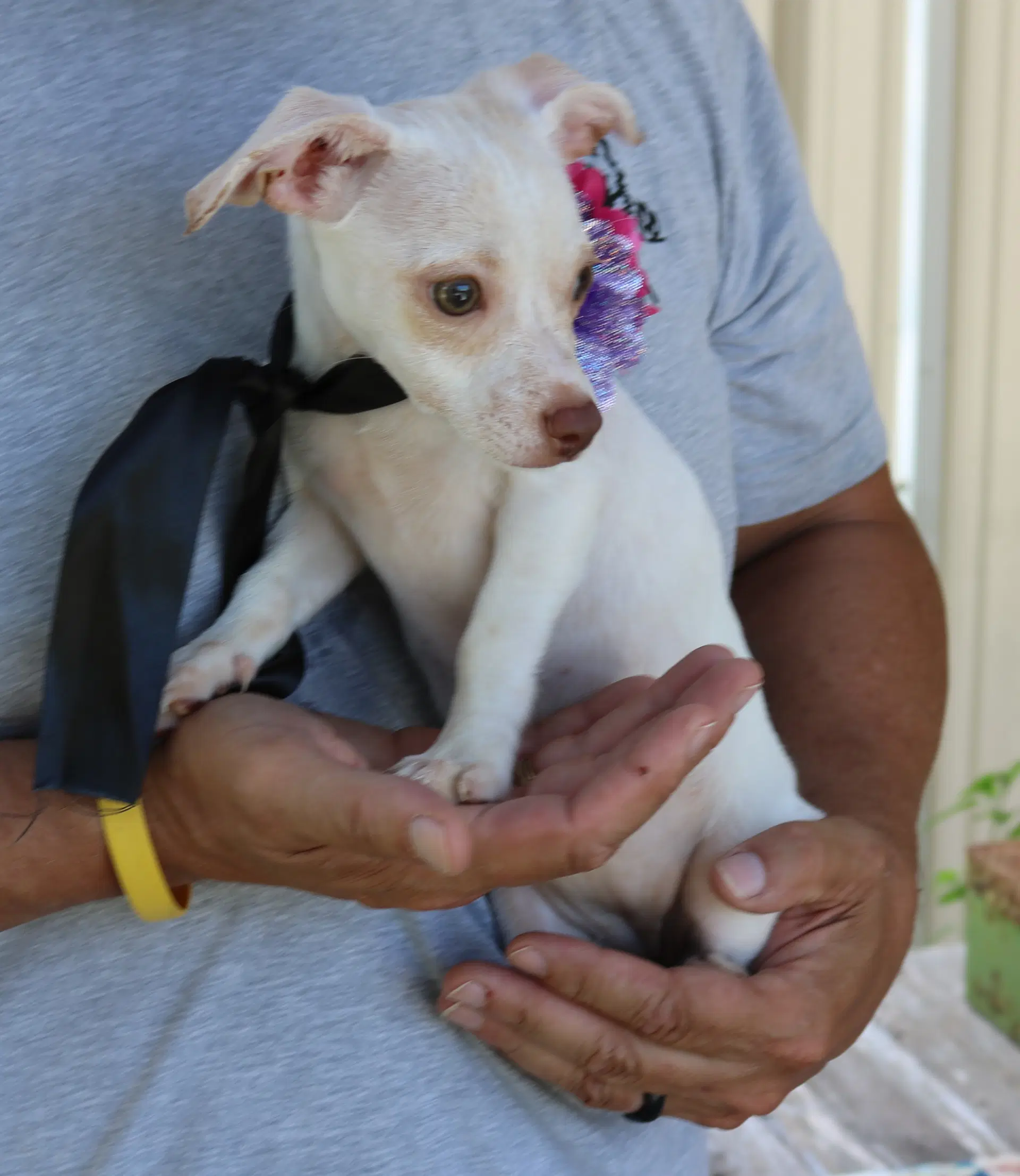 Darla image 3