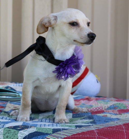 Daisey Mae photo 1