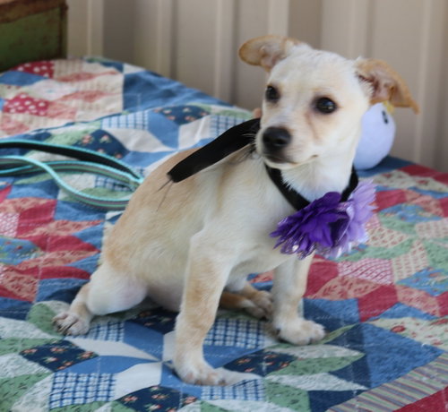 Daisey Mae photo 2