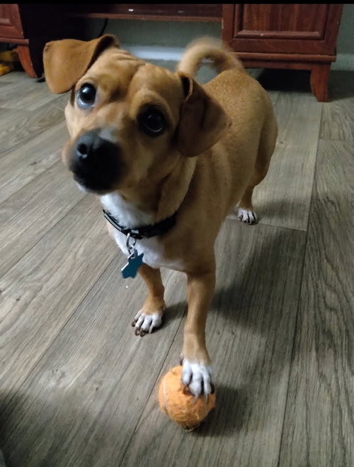 Photo 2 of Maverick