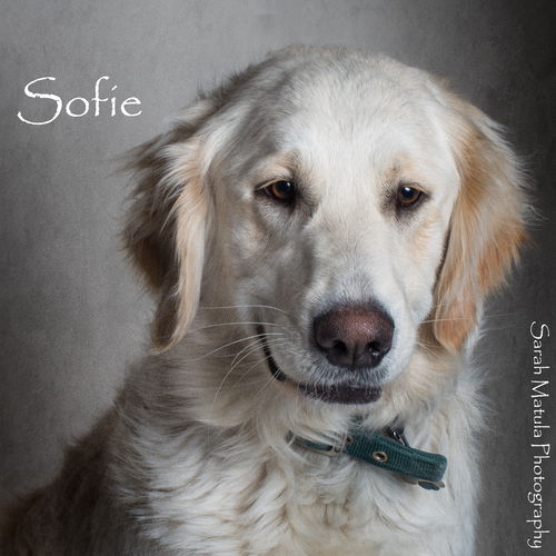 Sofie