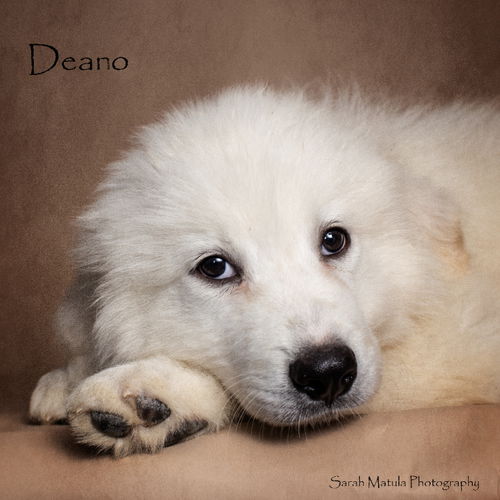 Deano