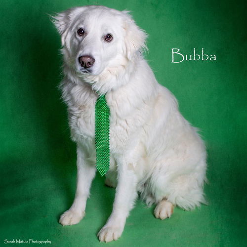Bubba
