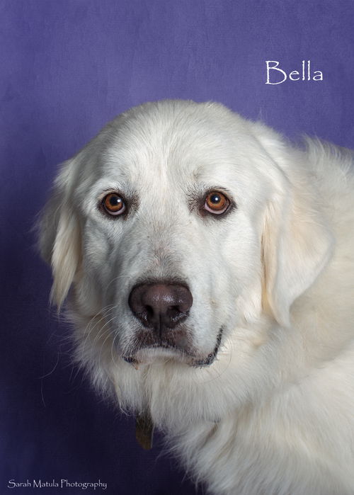 Bella