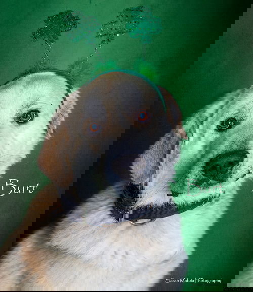 BURT