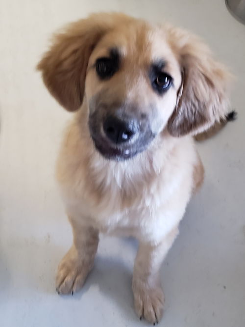 MILO