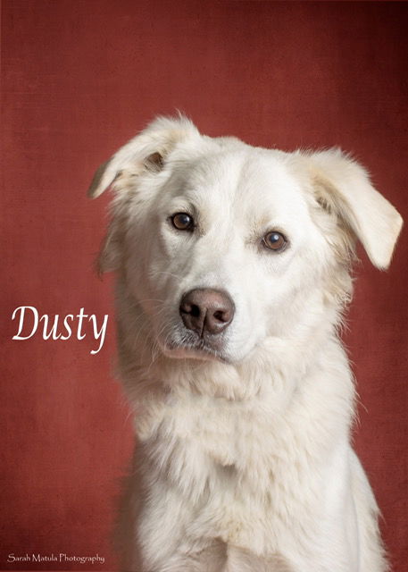 DUSTY