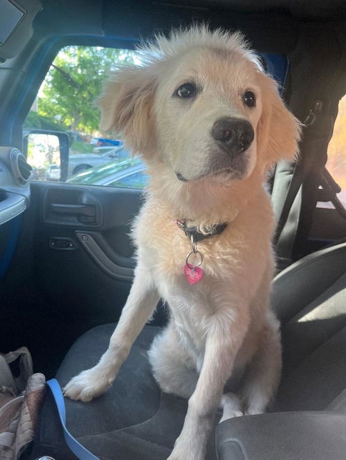 LYLA