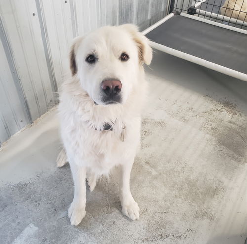 MILO