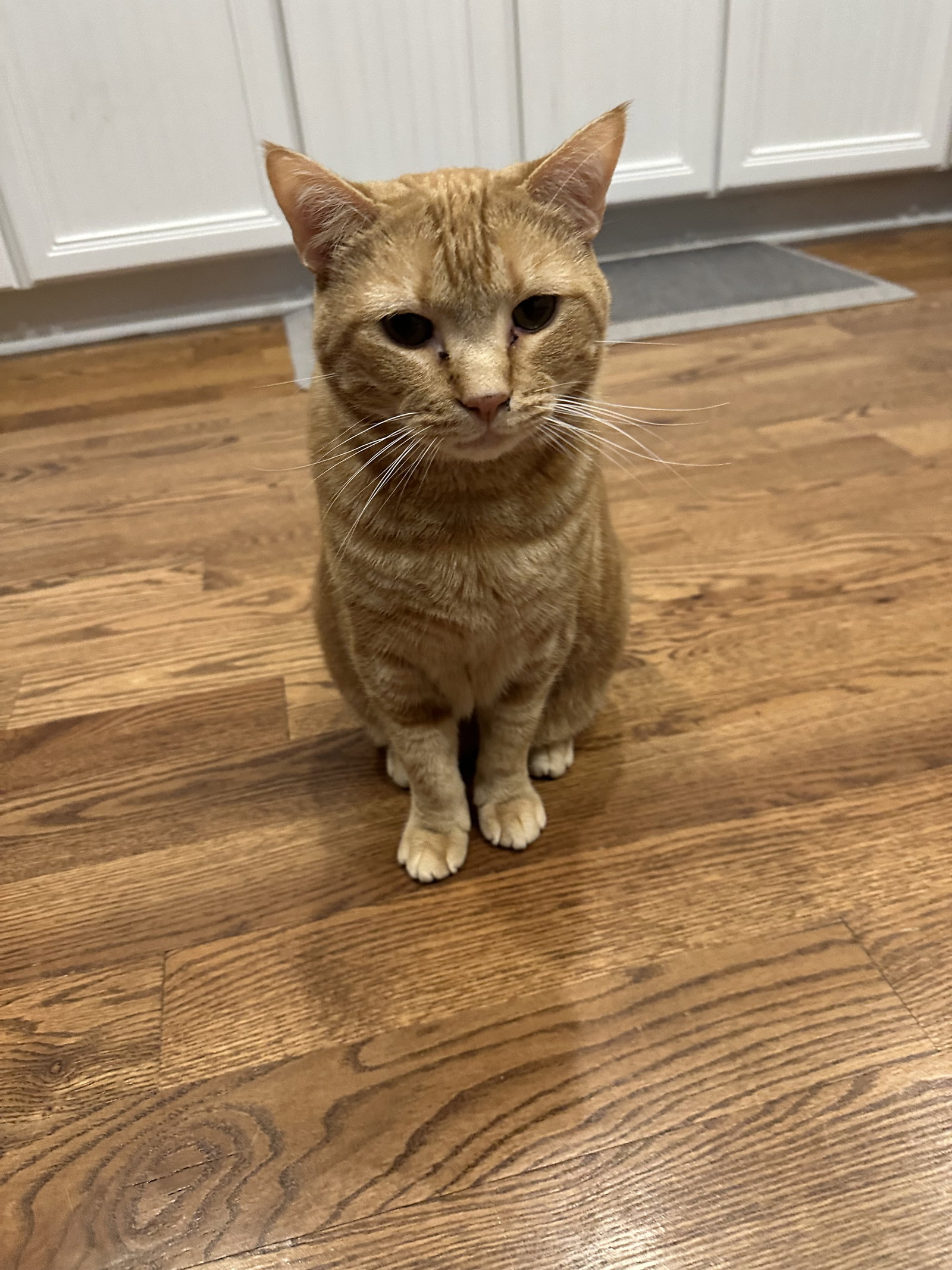 Oliver Image