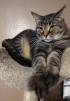 Zoey - Photo 3