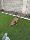 Max - Photo 3