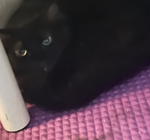 Coco