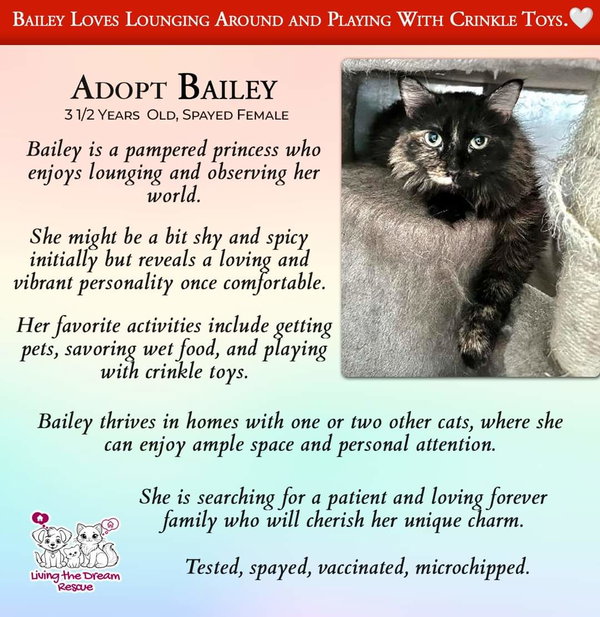 Bailey