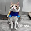 Yolanda - Photo 2