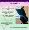 adoptable Cat in Glendale, AZ named De-lo