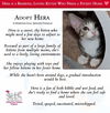 adoptable Cat in Glendale, AZ named Hera