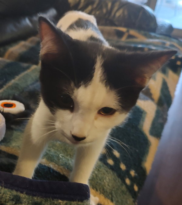 Charlie