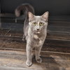 Delilah - Photo 3