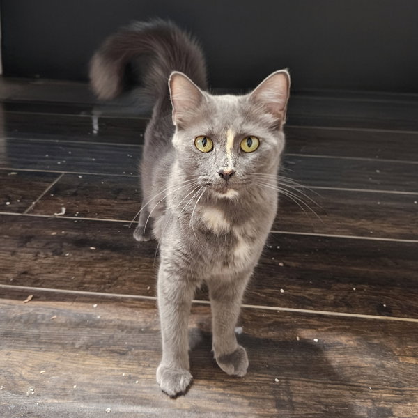 Delilah