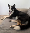 Fiona - Photo 2