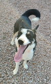 Fiona - Photo 3