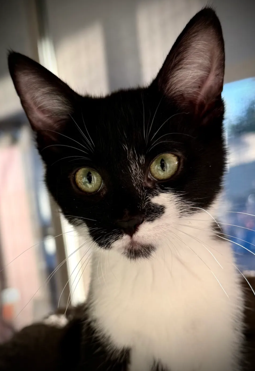 Eleanor Image
