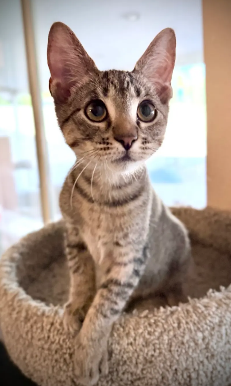 Leroy Image